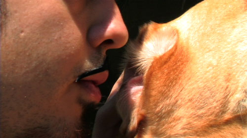 The Dog Whisperer
