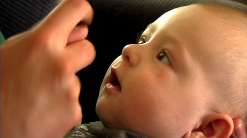The Nose Collector