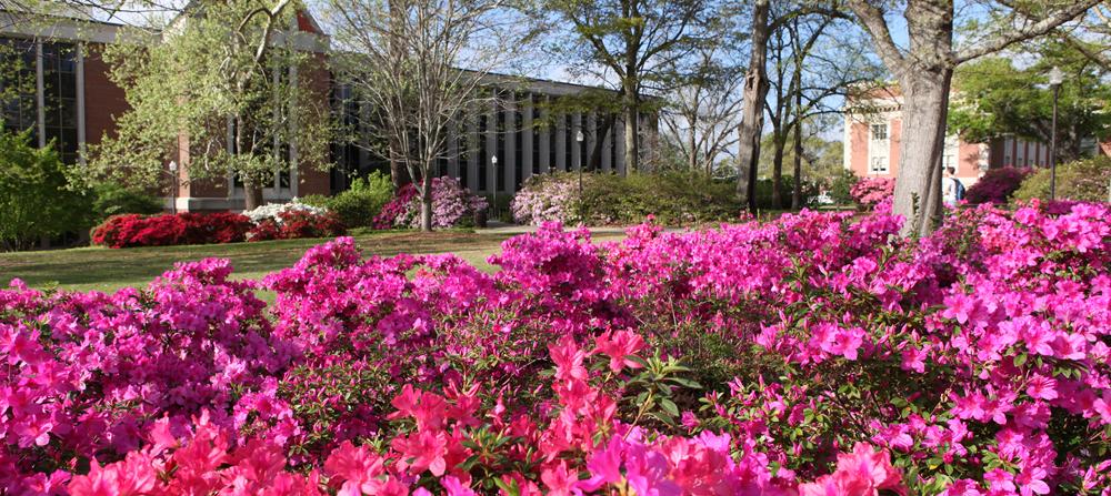 campus life