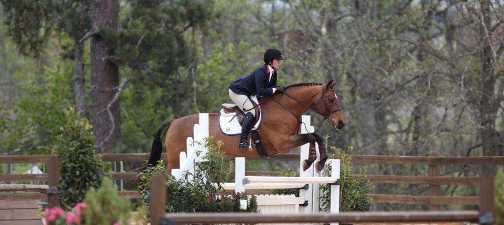 AU Equestrian 2013