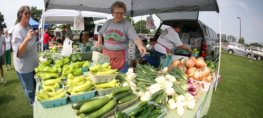 Farmer's Market