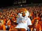 Camp War Eagle
