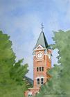 Watercolor Crash Course