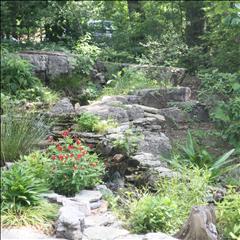 Donald E. Davis Arboretum