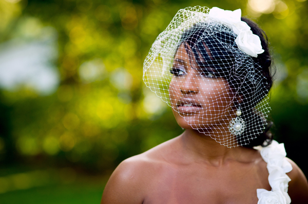 2015 TULLE BIRDCAGE VEIL