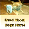 dog (and sometimes cat) stories, essays, fiction, updated daily! 
