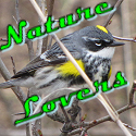a blog feed of my favorite blogs devoted to nature themes