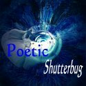 A Poet With A Camera