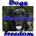 Dogs Deserve Freedom