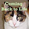 Coming Back to Life!