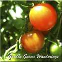 Come wander through my gardens.  All gardening topics are fair game.