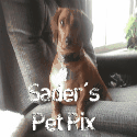 Sader