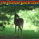 The Everyday Adventurer - Hiking and Nature, Free nature photos.
