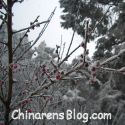 Living and writing in China