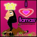 Llama, Personal Blog, College Blogger, Current Issues, Product Reviews, Unbiased Reviews, Honest Pro