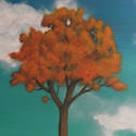 Pictsy Art