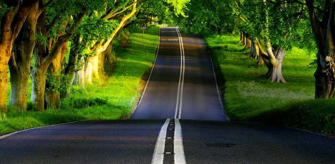 BRASIL BY BUS. The best site to find and buy bus tickets in Brazil!