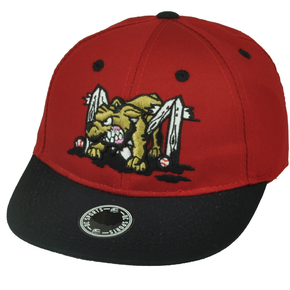 MiLB Batavia Muckdogs Minor League Twill Kids Set Of 15 Baseball Hat