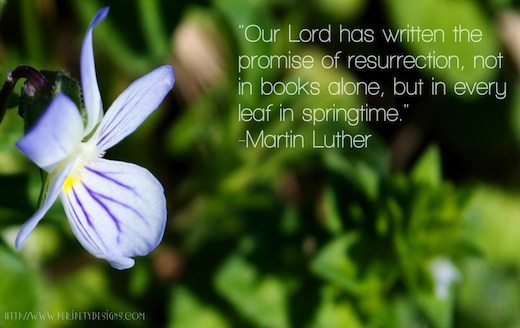 Hope for New Life