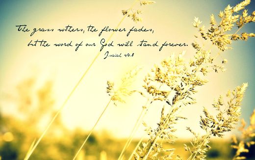 The Word of God Stands
