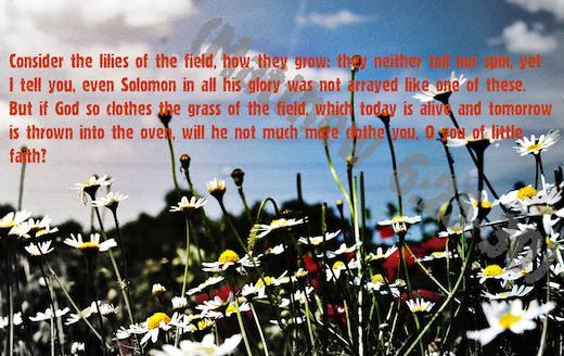 Matthew 6