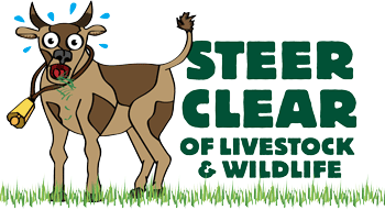 Steer Clear