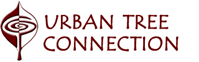 Urban_Tree.png Urban_Tree.png