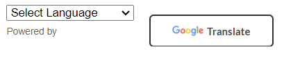 Google Translate photo