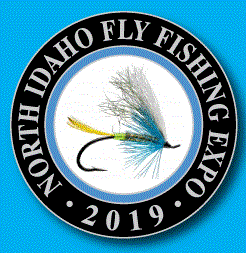 2019 pin