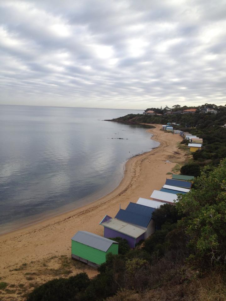 Please click on "Events" and click on "Future" to see upcoming events