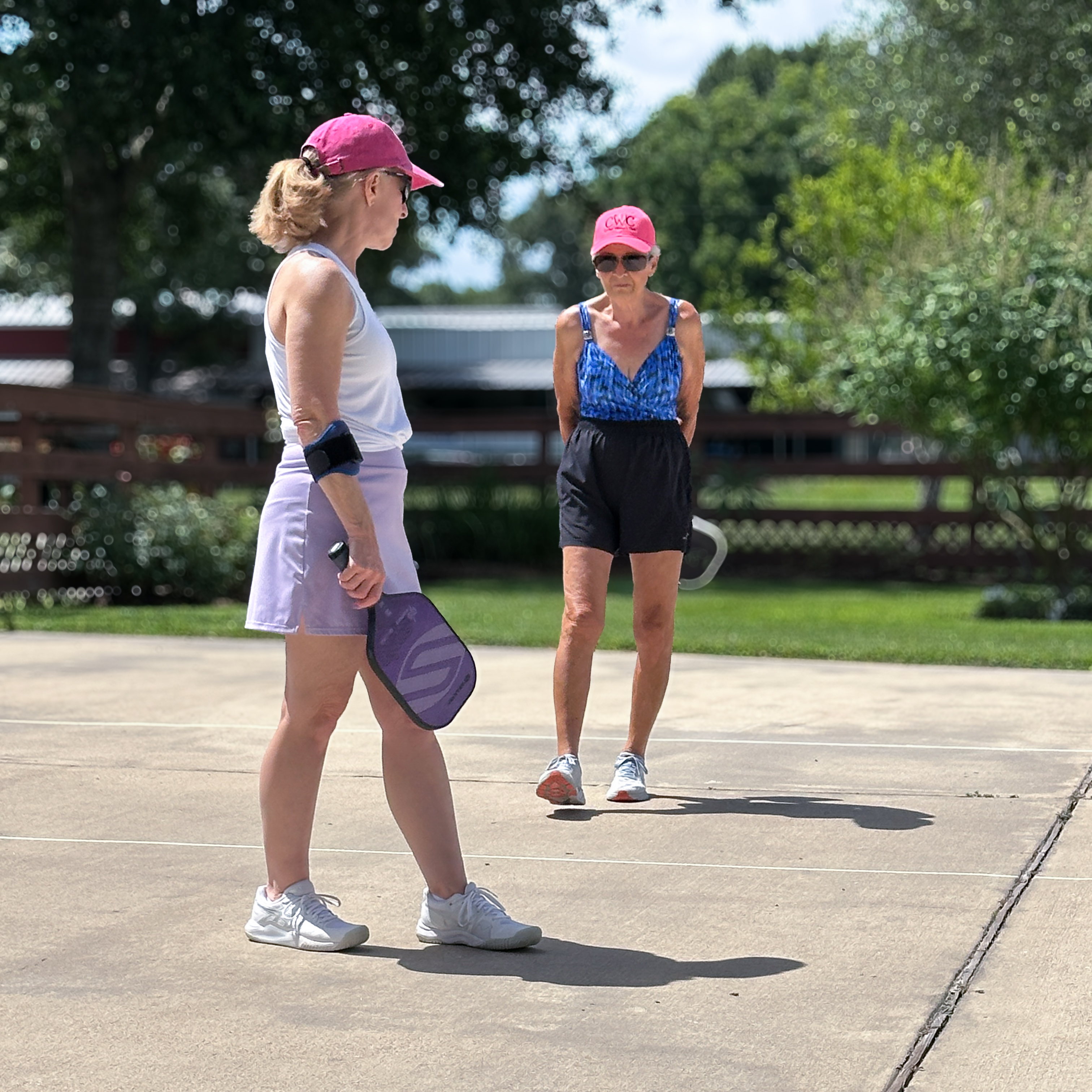 LNO Pickle Ball 2025