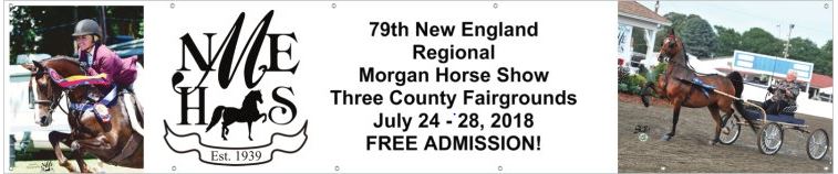 NEMHS 2018 Banner