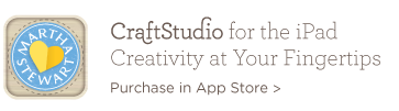 CraftStudio App