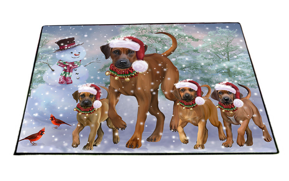 Rhodesian Ridgeback Dog Floor Mat Personalized Door Mat Valentine Day NWT - Picture 17 of 48