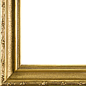 Rf-23.thumbnail