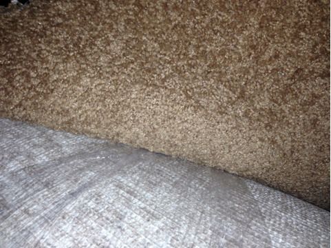 CARPET for $0.67 sq. ft
