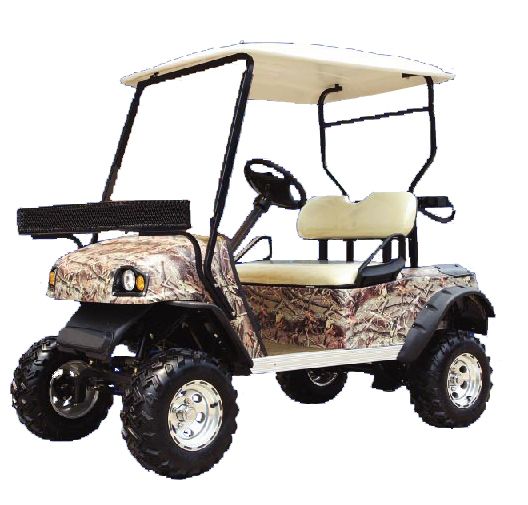 2 Seater Electric Golf Utility Cart
