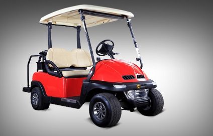 	 Electric 2 Seater Golf Cart