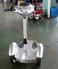700w Segscooter (Dual Scooter Motors) 