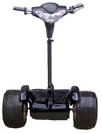 	 Brand New 1000w Segscooter Dual Motor Electric S