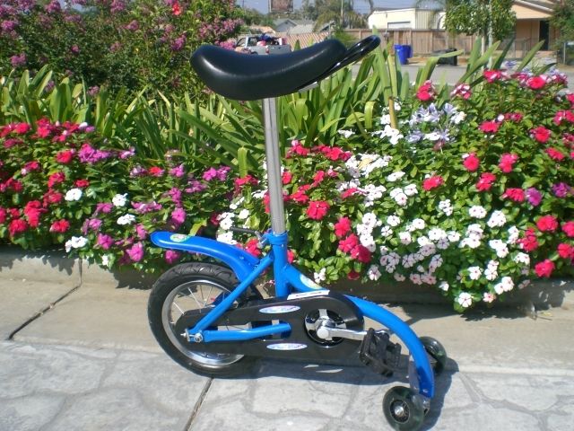 Exercise Tricycle