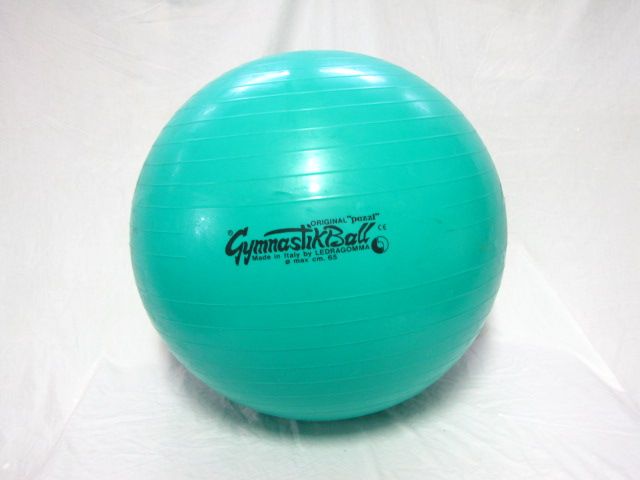 Gymnastik therapy/exercise ball