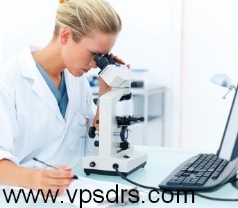 Veterinary Pathology Services