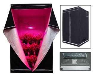 4x4x6.5 ft Plants Hydroponic Grow Tent 