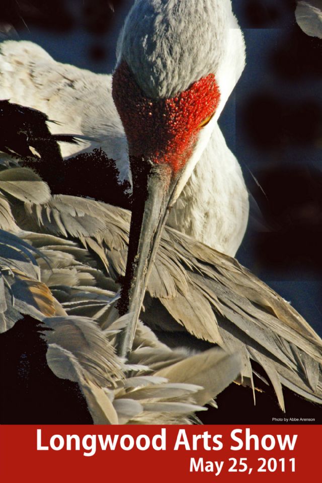 Limited Edition Florida Crane Poster Art Show 2011