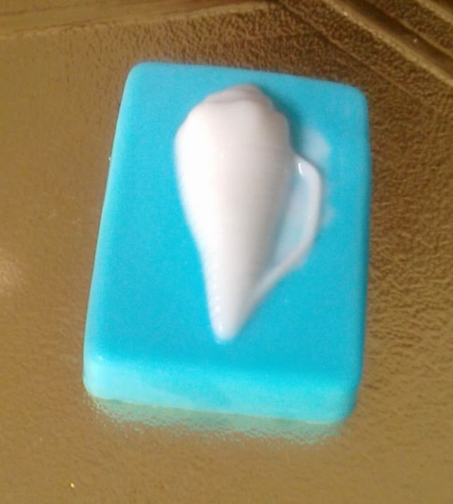 Florida Soap - with Shells! All natural olive oil 