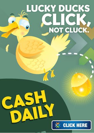 Never Lose Money Again!