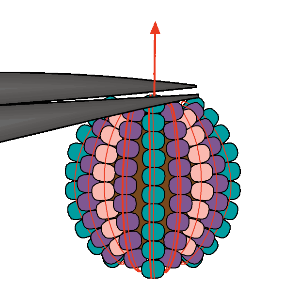 Beading Around a Bead Beading Techniques Fusion Beads