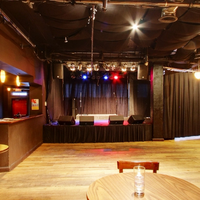 Vinyl_stage_profile