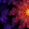 Fractal Flowers